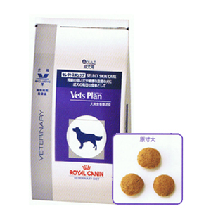 �x�b�c�v���� ��